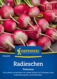 Radieschensamen Poloneza