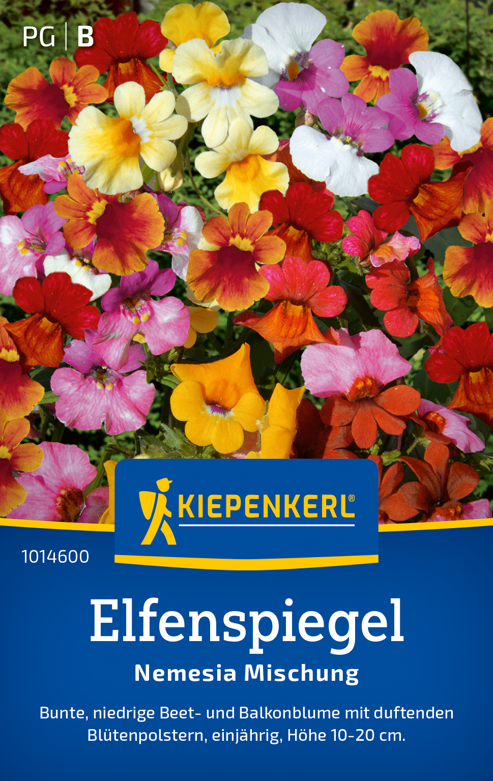 Elfenspiegelsamen Nemesia Mischung