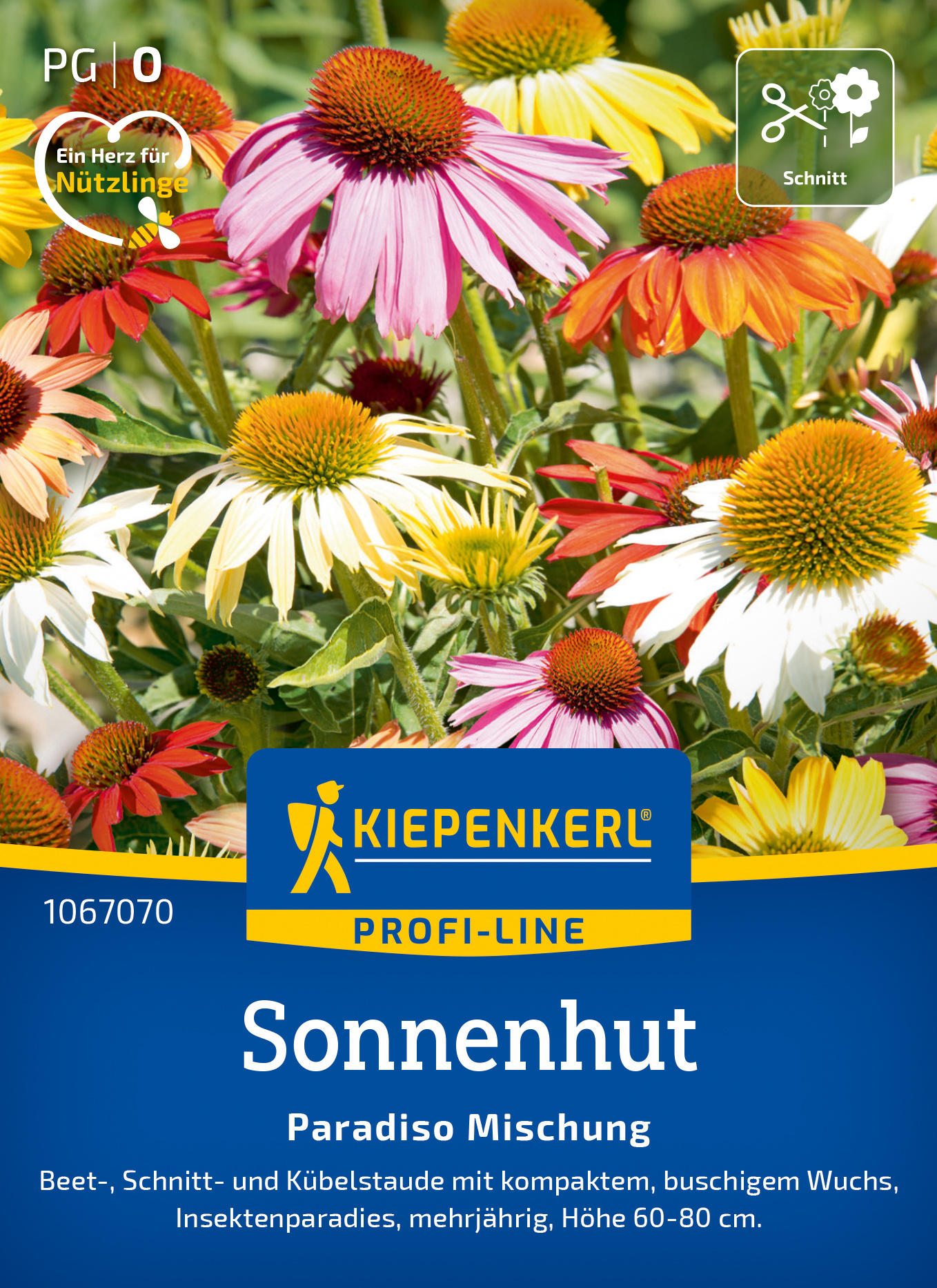 Bunte Sonnenhutblumen in verschiedenen Farben auf der Verpackung.