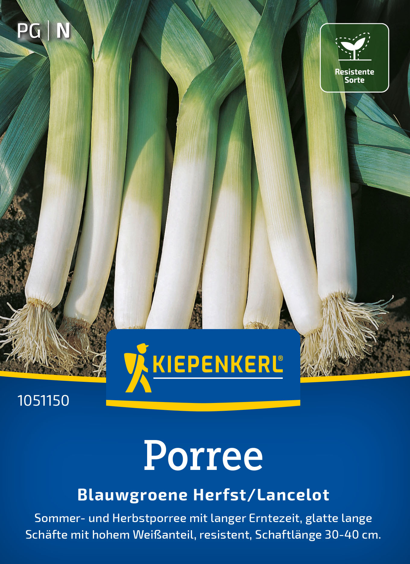 Porreesamen Blaugrüner Herbst/Lancelot