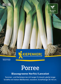 Porreesamen Blaugrüner Herbst/Lancelot