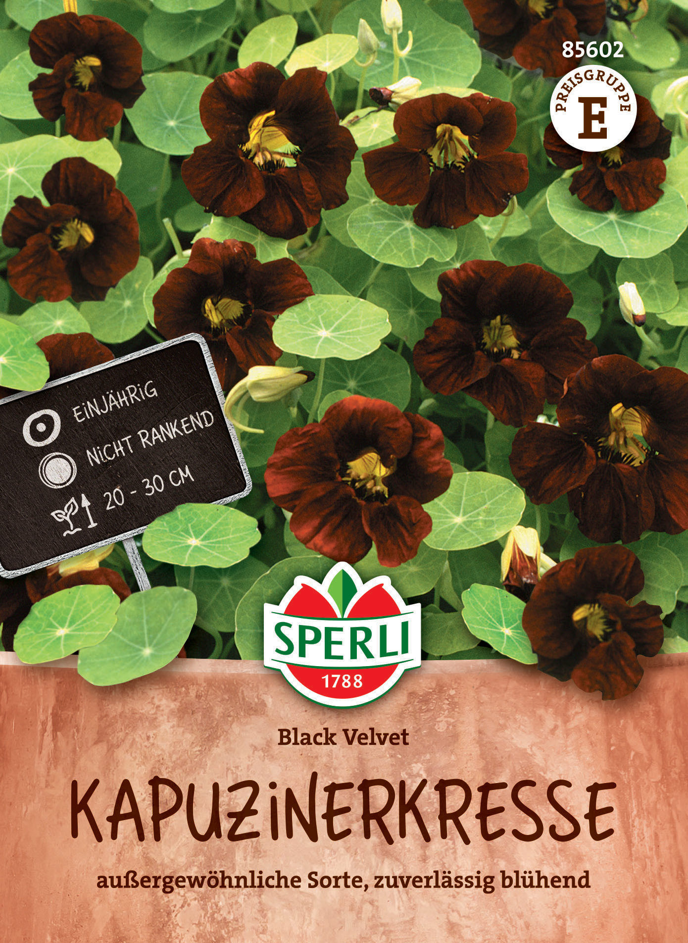 Kapuzinerkressesamen Black Velvet
