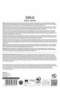 Anleitung zu Dahlia Hybrid, Beschreibung in mehreren Sprachen, inklusive Pflegehinweisen und Zertifizierungsdetails.