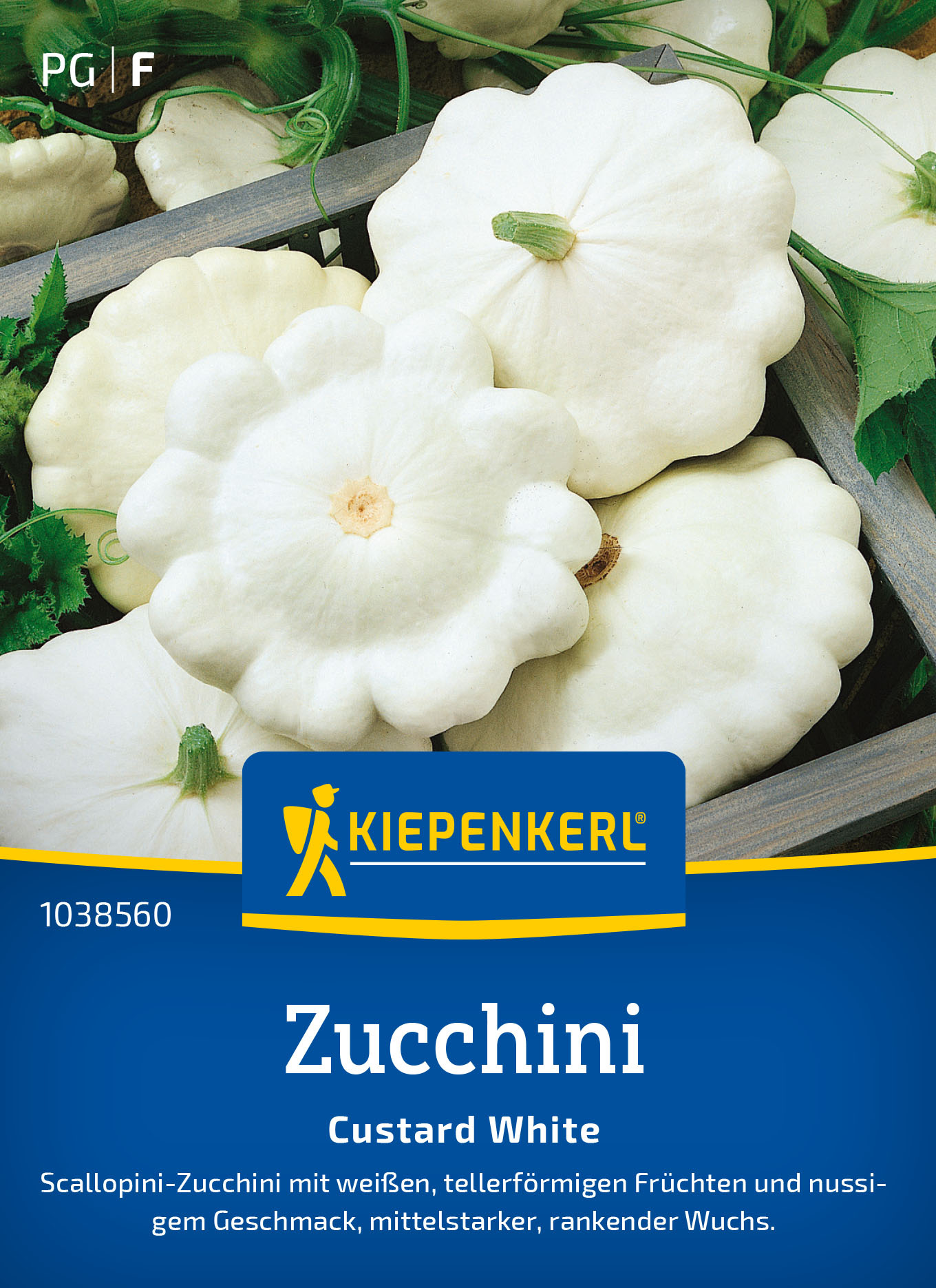 Zucchinisamen Custard White