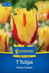 Gefranste Tulpe Party Clown