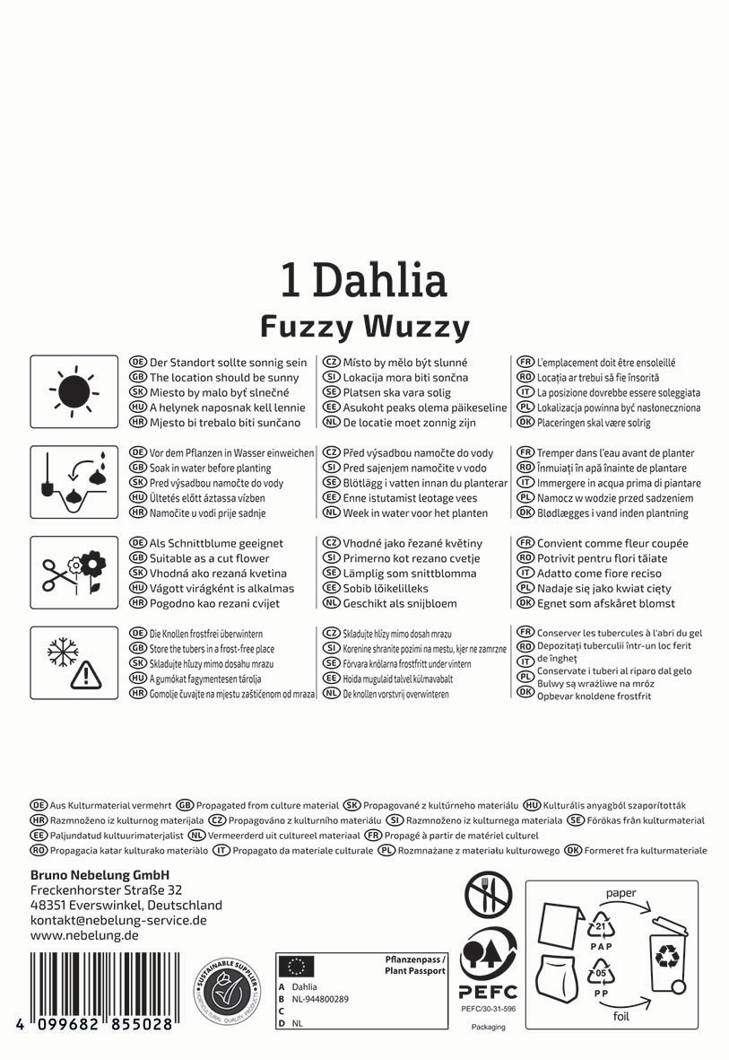 Anleitung zur Pflege und Verwendung von Dahlia Fuzzy Wuzzy, inklusive Pflanzung, Standort, Wasser, Schneiden und Frostschutz.