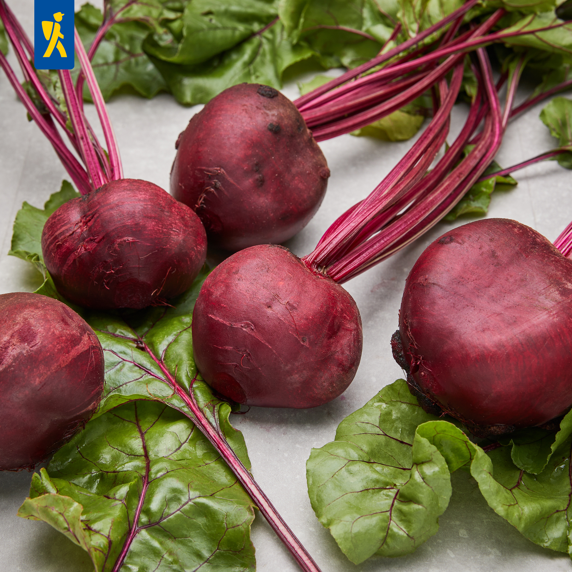 brokkolisamen alnatura BIO Brokkoli Samen (Calabrese)