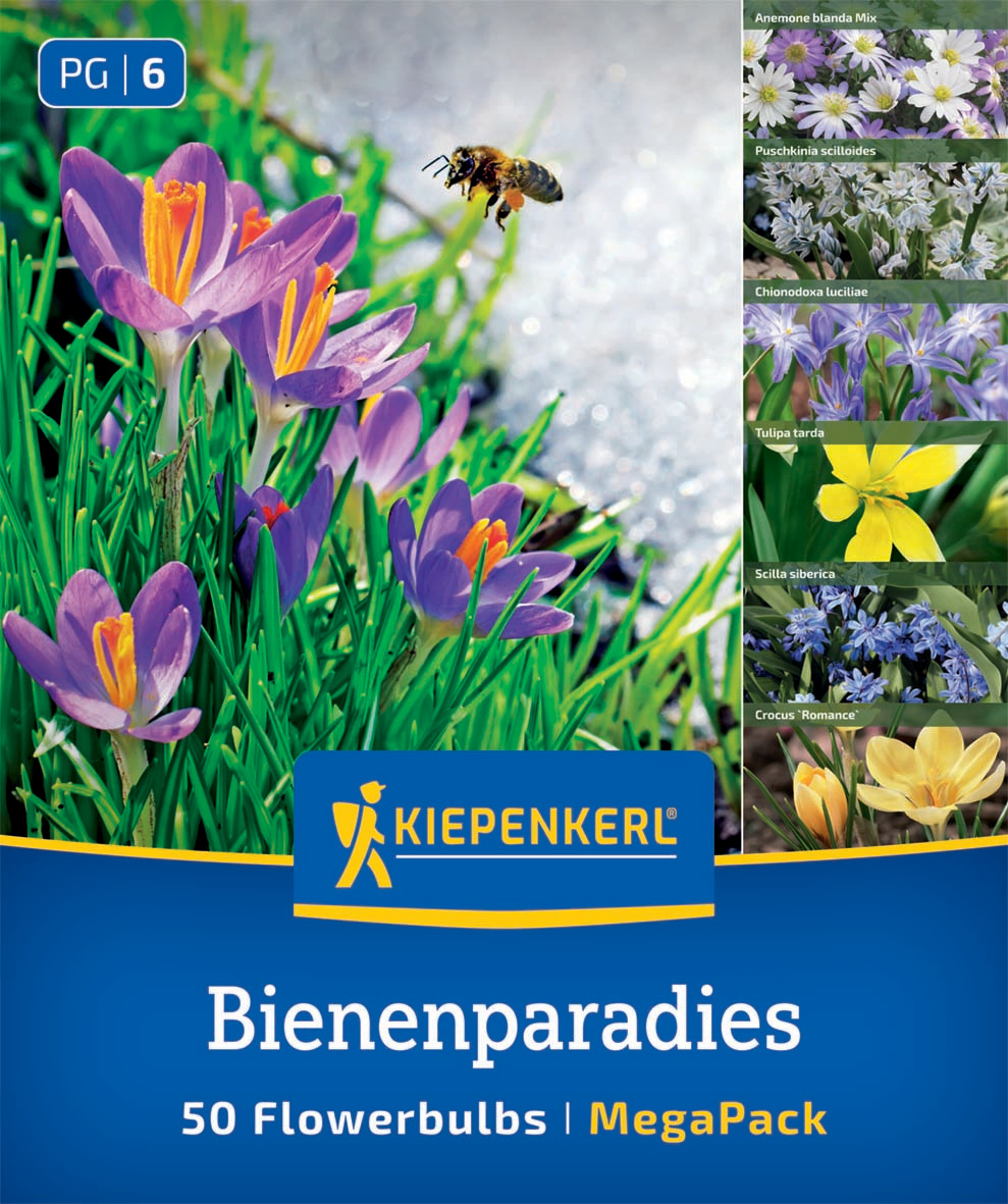 Mega-Pack Blumenzwiebelmischung Bienenparadies