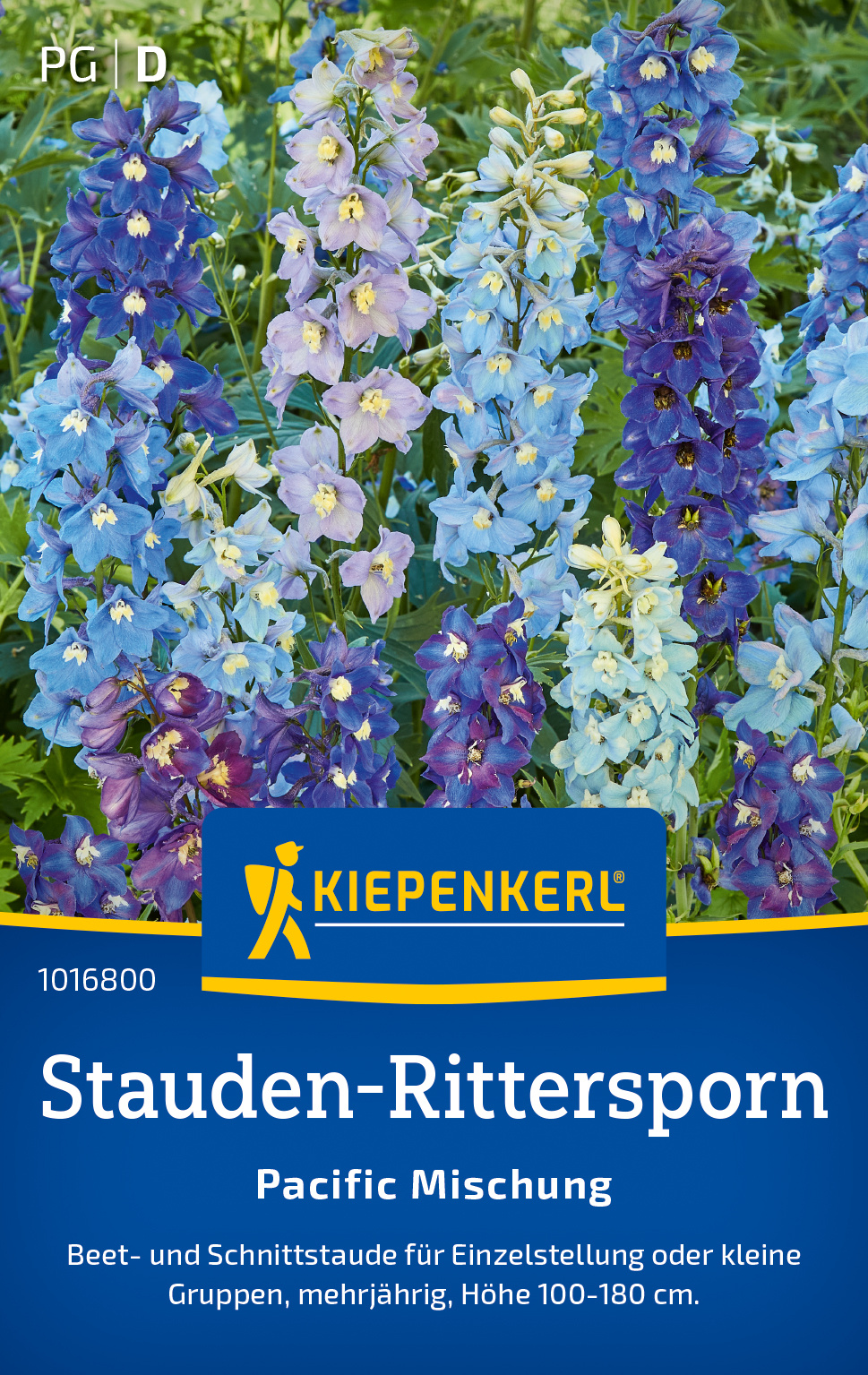 Stauden-Ritterspornsamen Pacific Mischung
