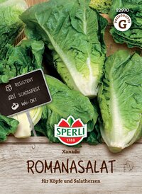 Romanasalat auf einem Holzbrett mit Schild und Logo, grüne Blätter, frisch und knackig.