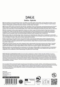 Beschreibungstext: Diagramm mit verschiedenen Sprachen, Informationen zu einer Dahlie Pflanze, Herstellerangaben, Zertifizierungen und Text.