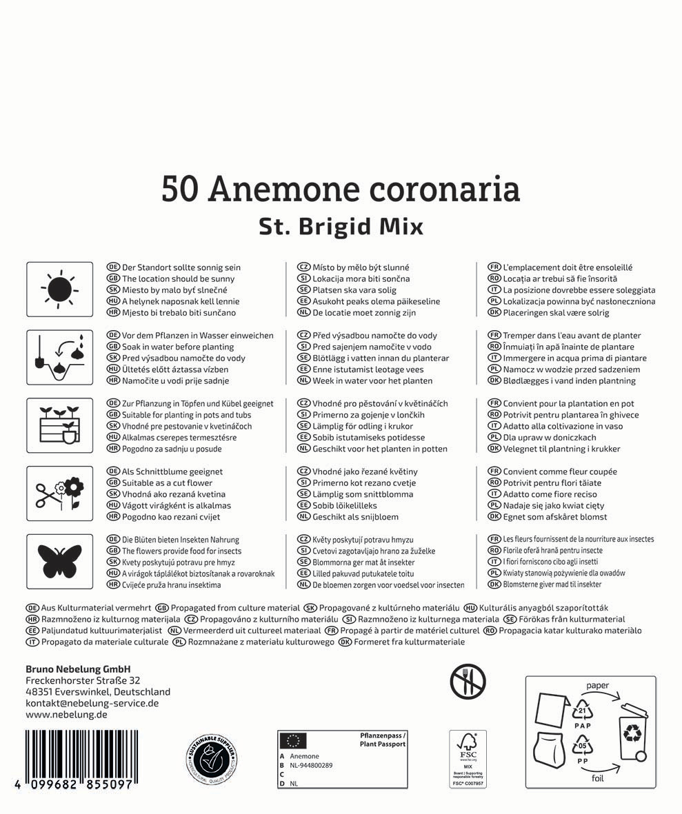 50 Anemone coronaria St. Brigid Mix, mit botanischen Beschreibungen in mehreren Sprachen und Symbolen.