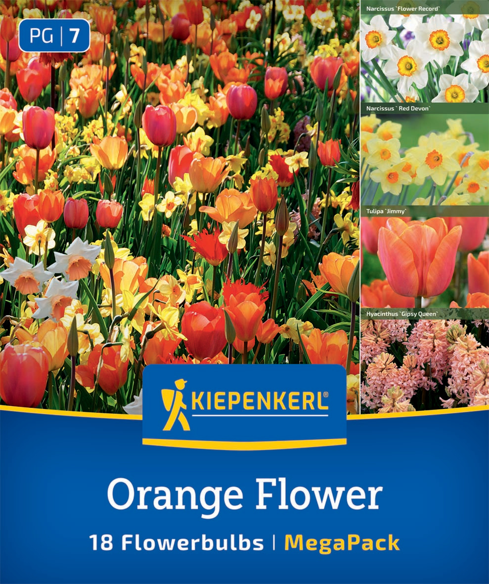 Mega-Pack Blumenzwiebelmischung Orange Flower Mix