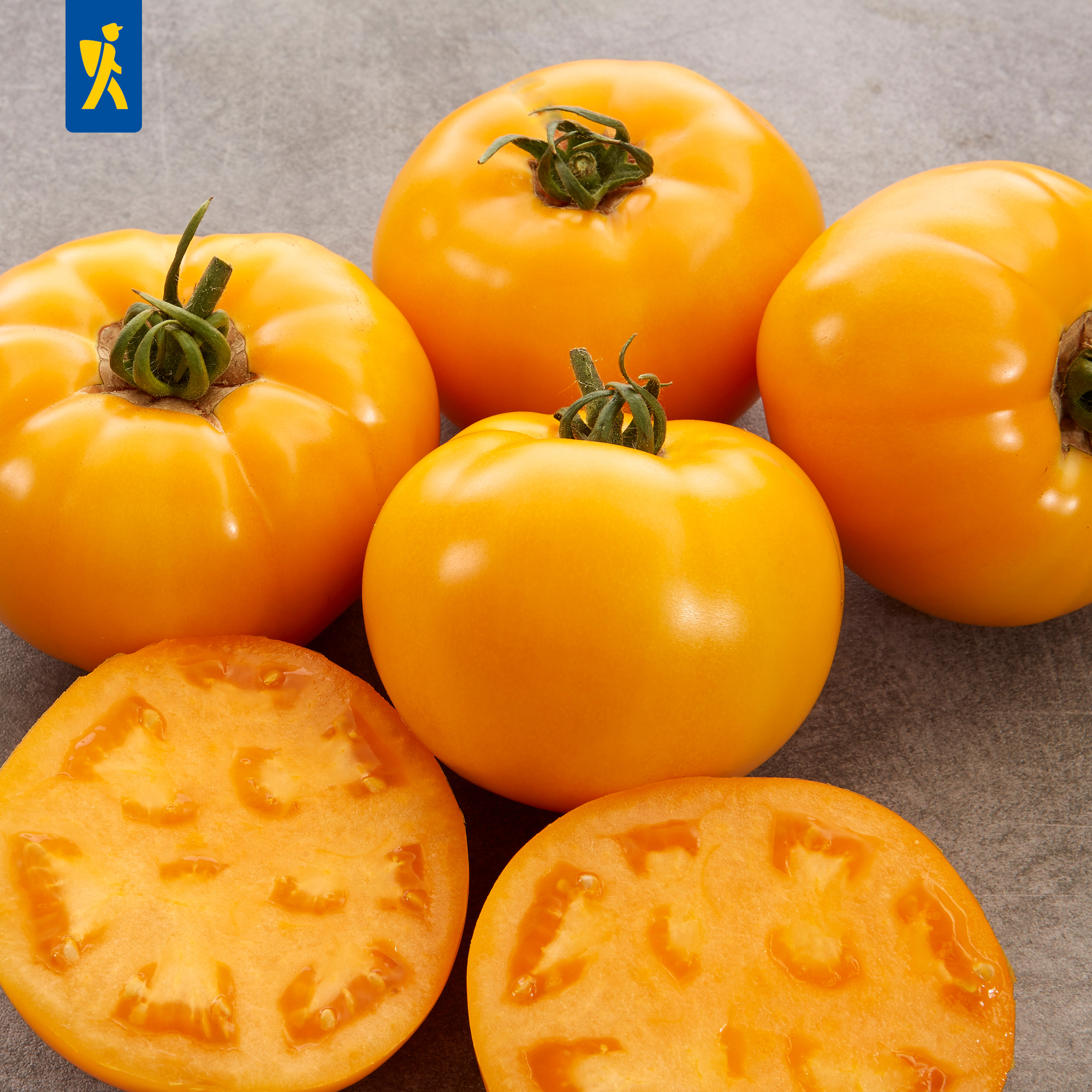 Fleisch-Tomatensamen Fido-Midi Gelb®, F1 