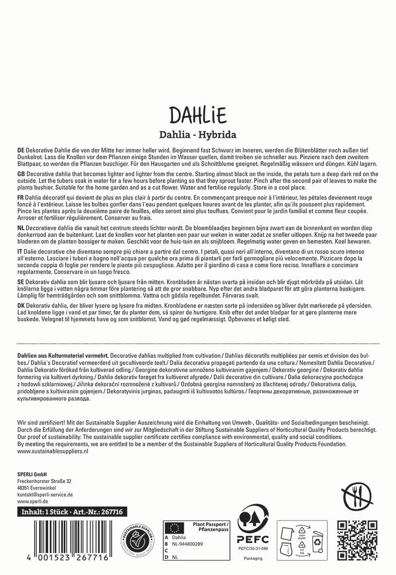 Text in multiple languages describing decorative Dahlia flowers, their cultivation, watering, flowering, and certification logos.