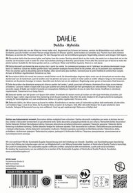Text in multiple languages describing decorative Dahlia flowers, their cultivation, watering, flowering, and certification logos.