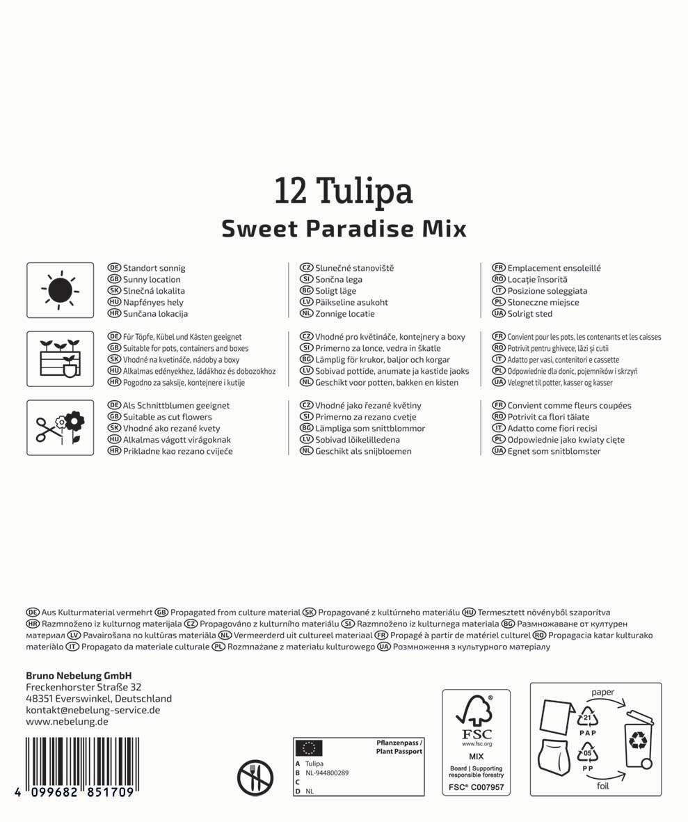 Mega-Pack Blumenzwiebelmischung Sweet Paradise Mix