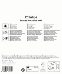 Mega-Pack Blumenzwiebelmischung Sweet Paradise Mix