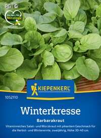 Grüner Barbakraut mit runden Blättern, auf einem Pflanzensamenpaket der Marke Kiepenkerl.