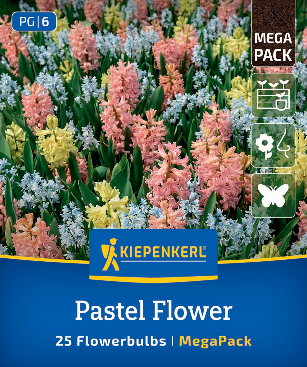 Mega-Pack Blumenzwiebelmischung Pastel Flower