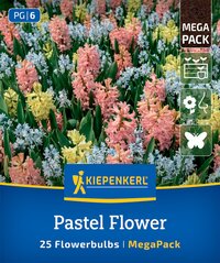 Mega-Pack Blumenzwiebelmischung Pastel Flower