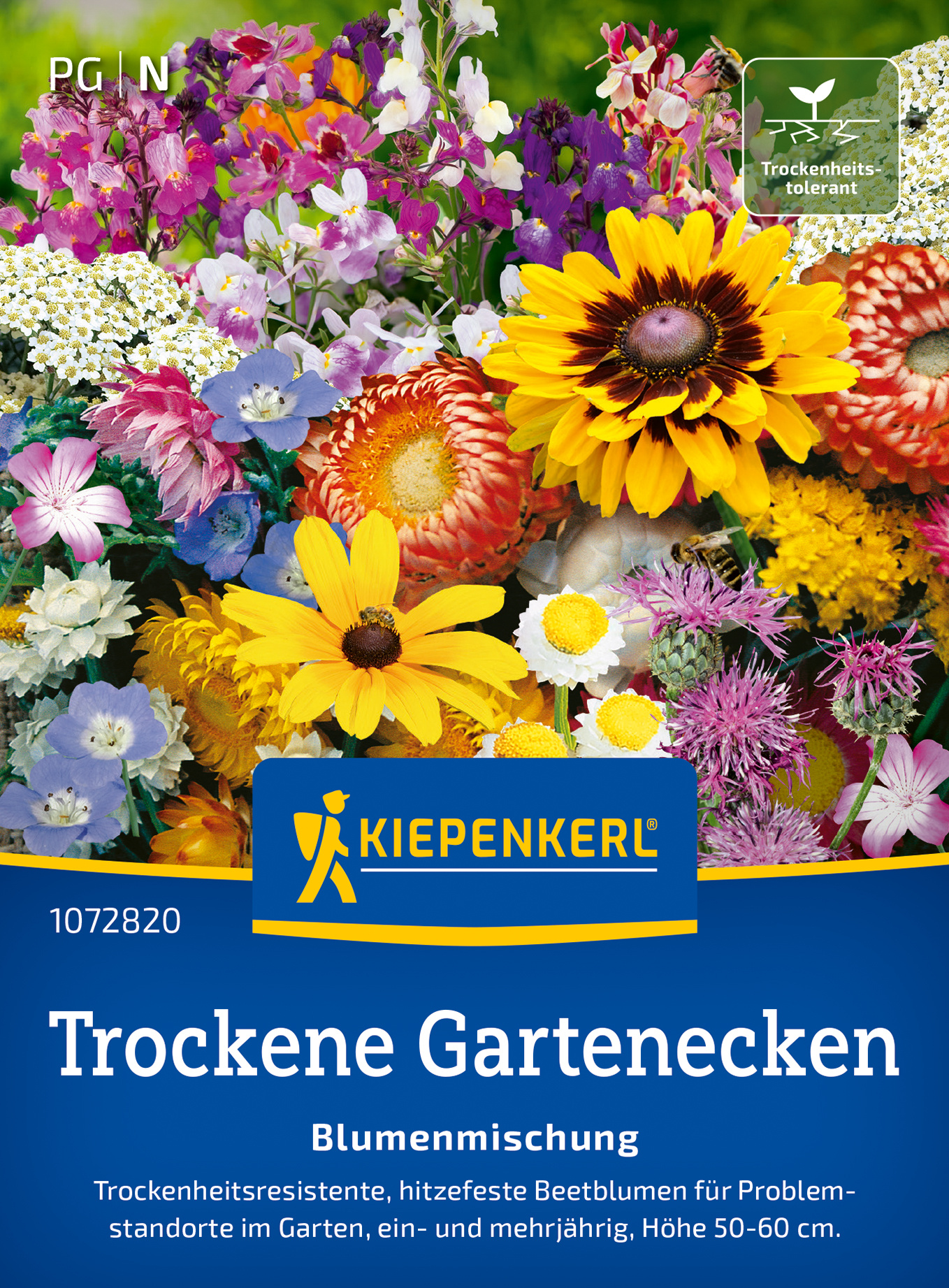 Blumensamen-Mischung Trockene Gartenecken
