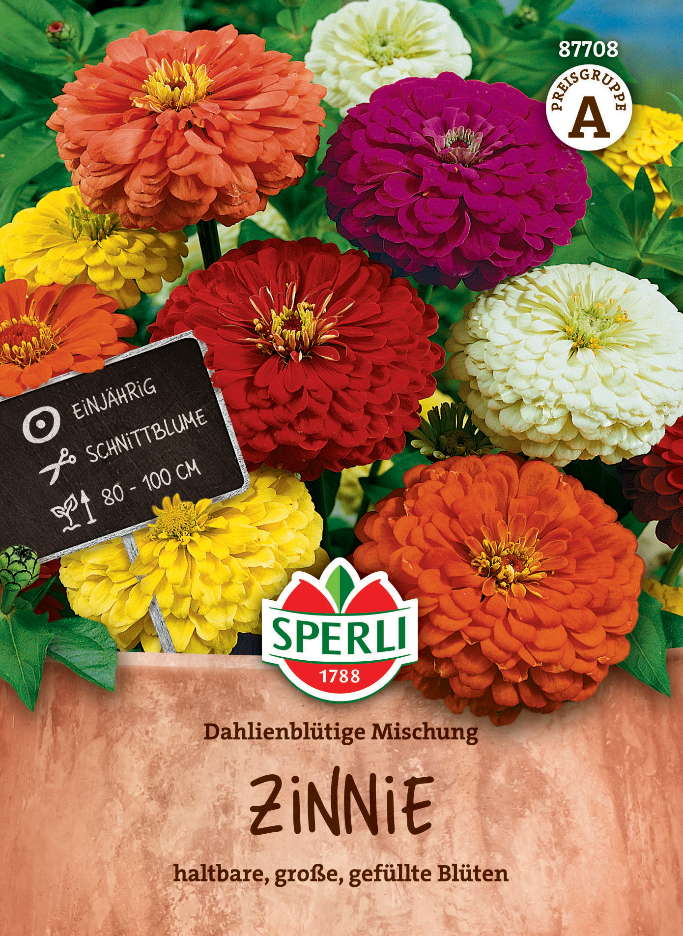 Zinniensamen Dahlienblütige Mischung