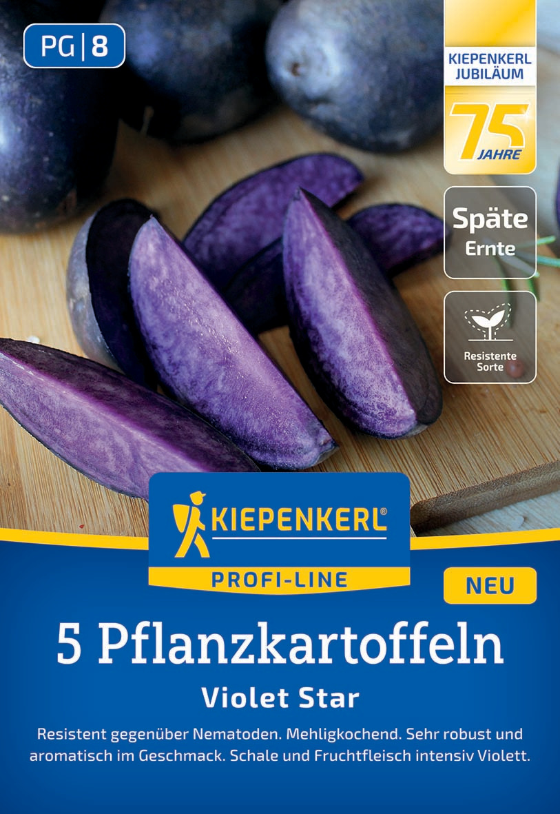 Pflanzkartoffeln Violet Star