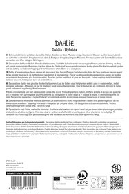 Dahlie Thomas A. Edison