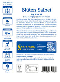 Blüten-Salbeisamen Big Blue, F1