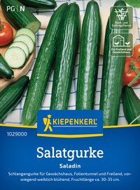 Vier grüne Salatgurken liegen auf einer blauen und weißen Tischdecke.