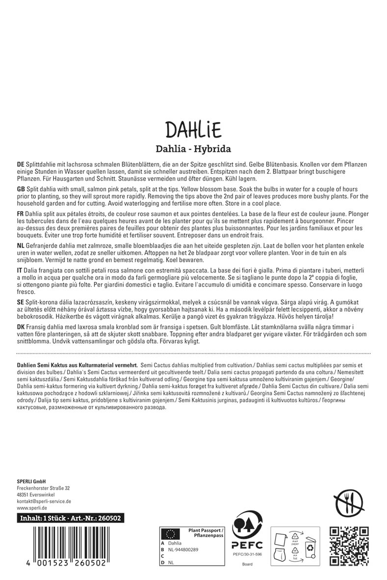 Dahlie Fringed Star
