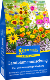 Blumensamen-Mischung Landblumenmischung
