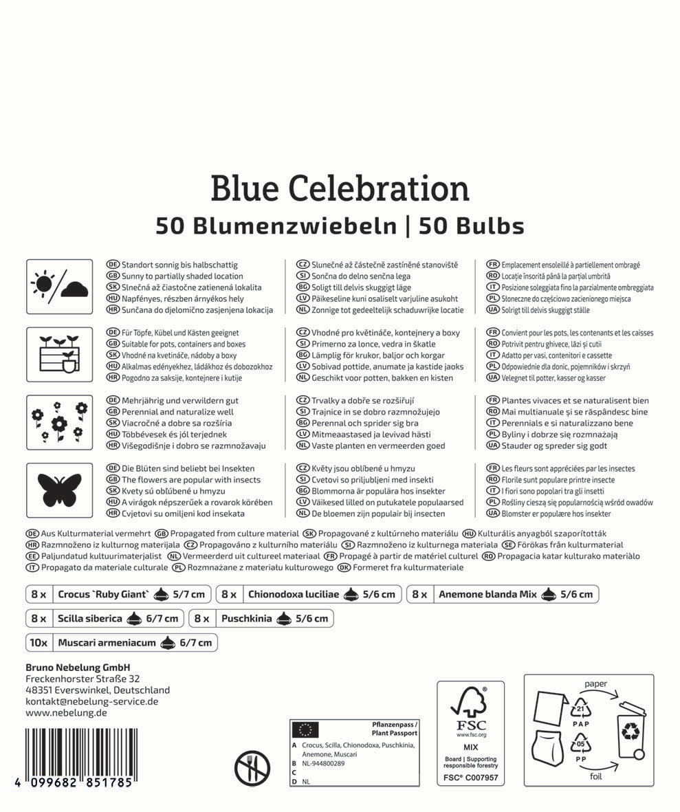 Mega-Pack Blumenzwiebelmischung Blue Celebration Mix