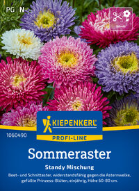 Bunte Sommeraster mit pink, lila, weiß Blumen, im Garten.