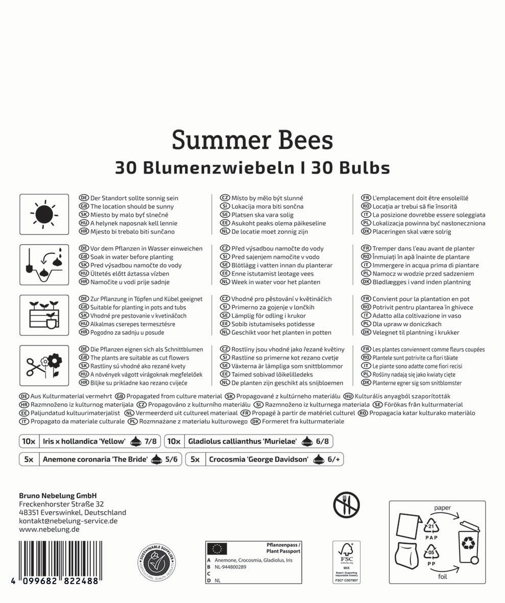 Anleitung für Blumenzwiebeln Sommer Bees, mit Pflanztipps, Sorten, Mengen und Pflegehinweisen in mehreren Sprachen.