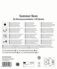 Anleitung für Blumenzwiebeln Sommer Bees, mit Pflanztipps, Sorten, Mengen und Pflegehinweisen in mehreren Sprachen.