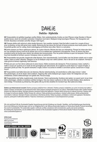 Text in mehreren Sprachen über die Pflege und Kultivierung von Dahlien, mit Zertifizierungssiegeln und Herstellerangaben.