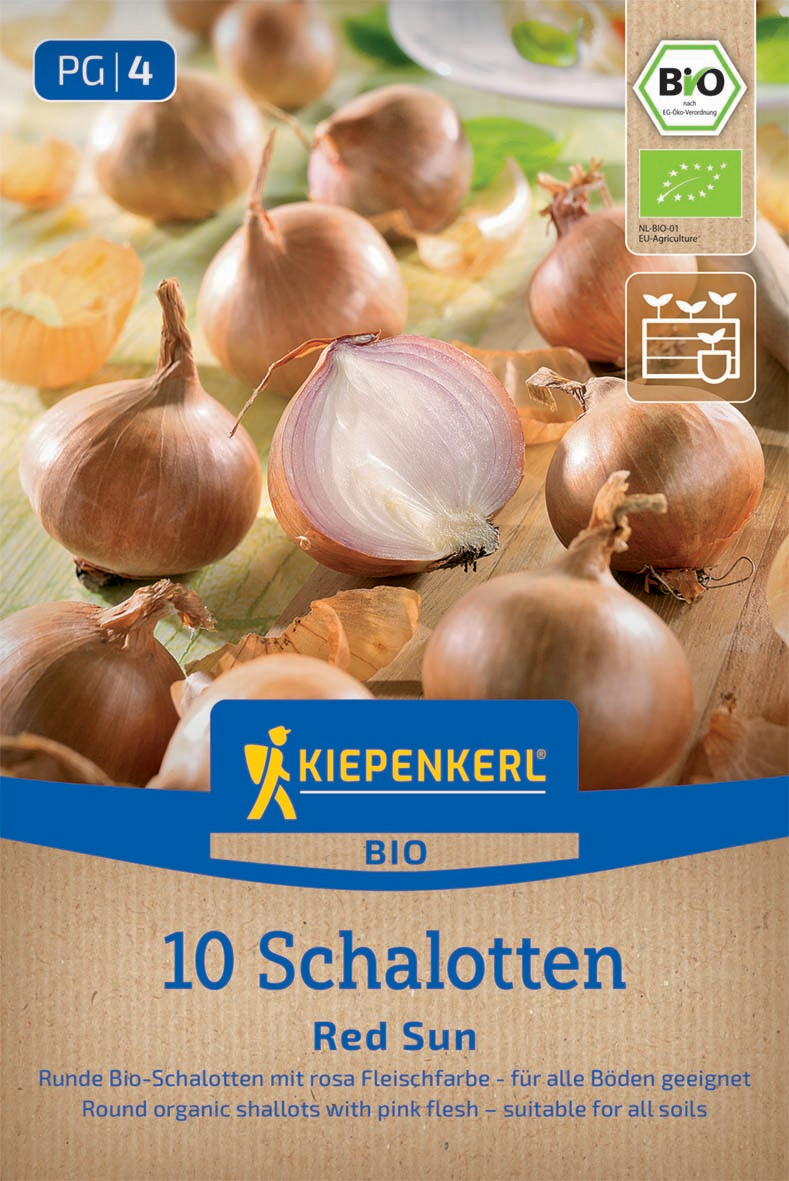 BIO-Schalotten Red Sun