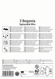 Mehrsprachige Symbole und Anweisungen für Begonia Pflanzung und Pflege auf weißem Hintergrund.