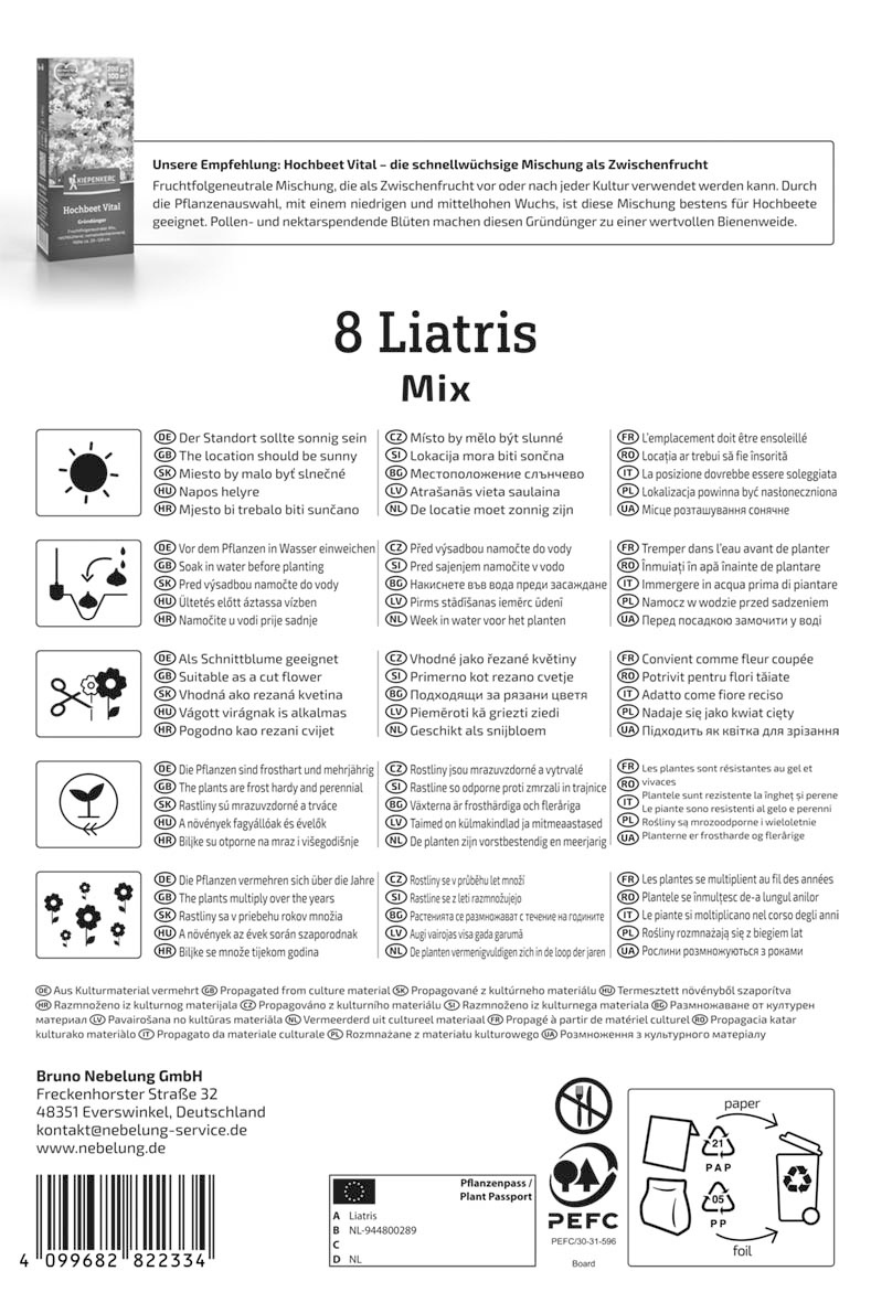 Prachtscharte Liatris Blau und Weiß