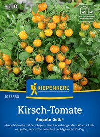 Tomaten dngen: Tomaten gut versorgen mit den richtigen Dngemethoden