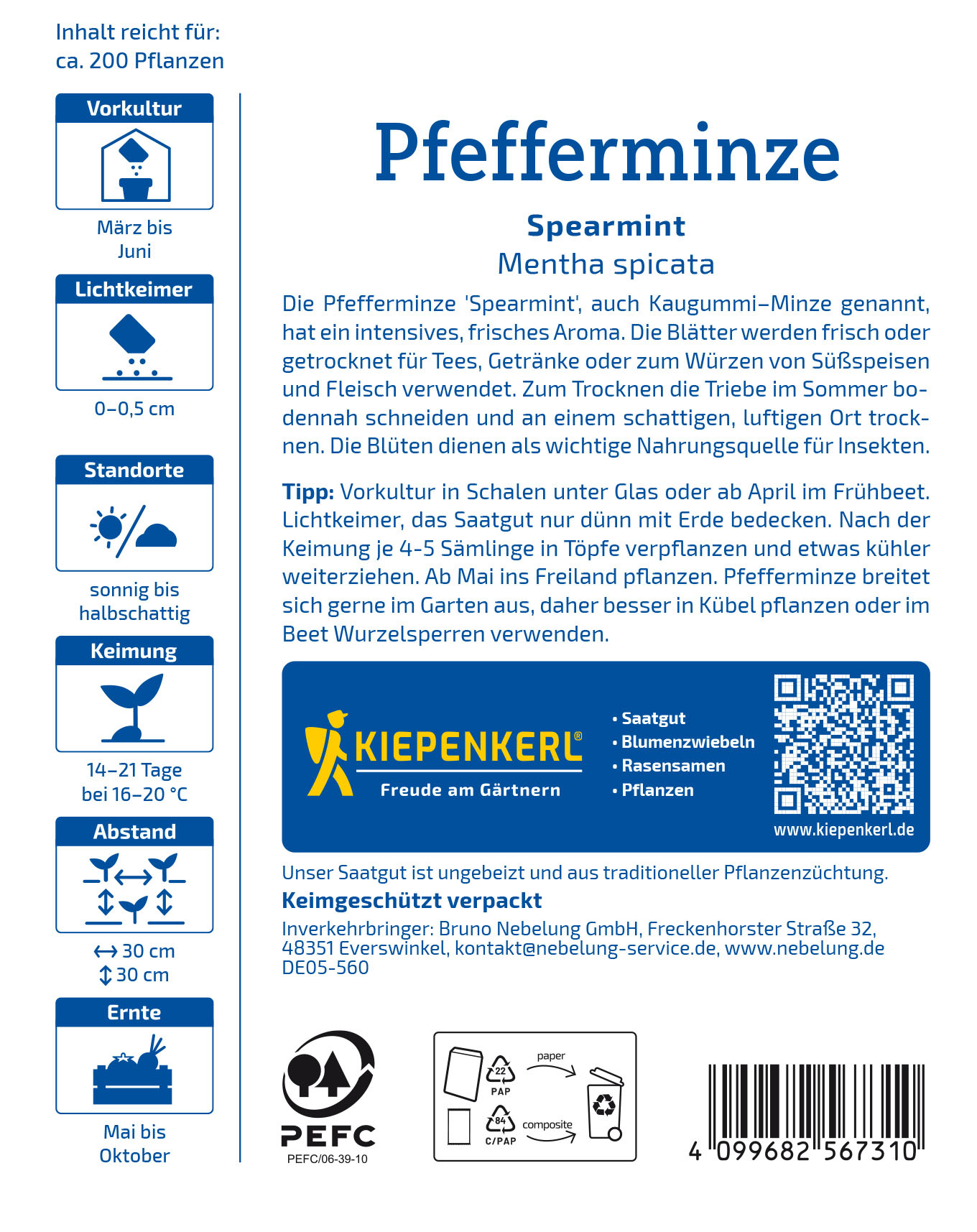 Pfefferminzesamen Spearmint