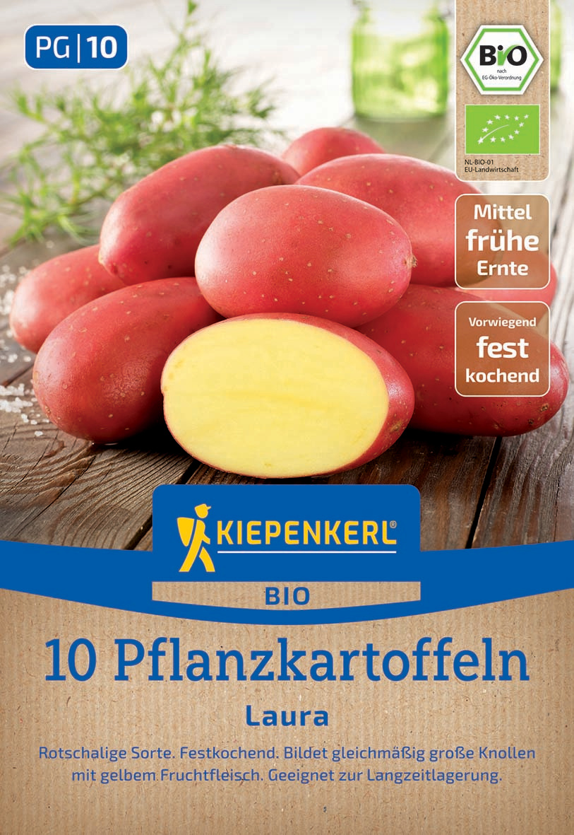 wiesenlieschgras saatgut Wiesenlieschgras (Phleum pratense) 200g  Strukturgras fr Blumenwiesen   Gardenox-Natur