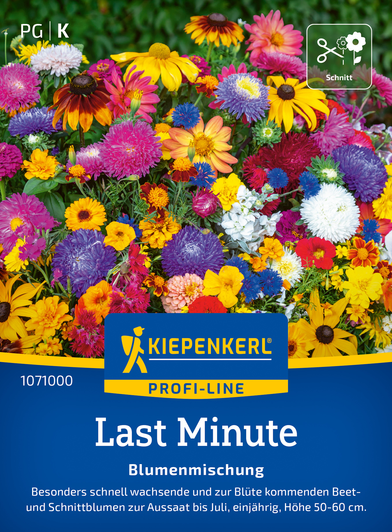Blumensamen-Mischung Last Minute