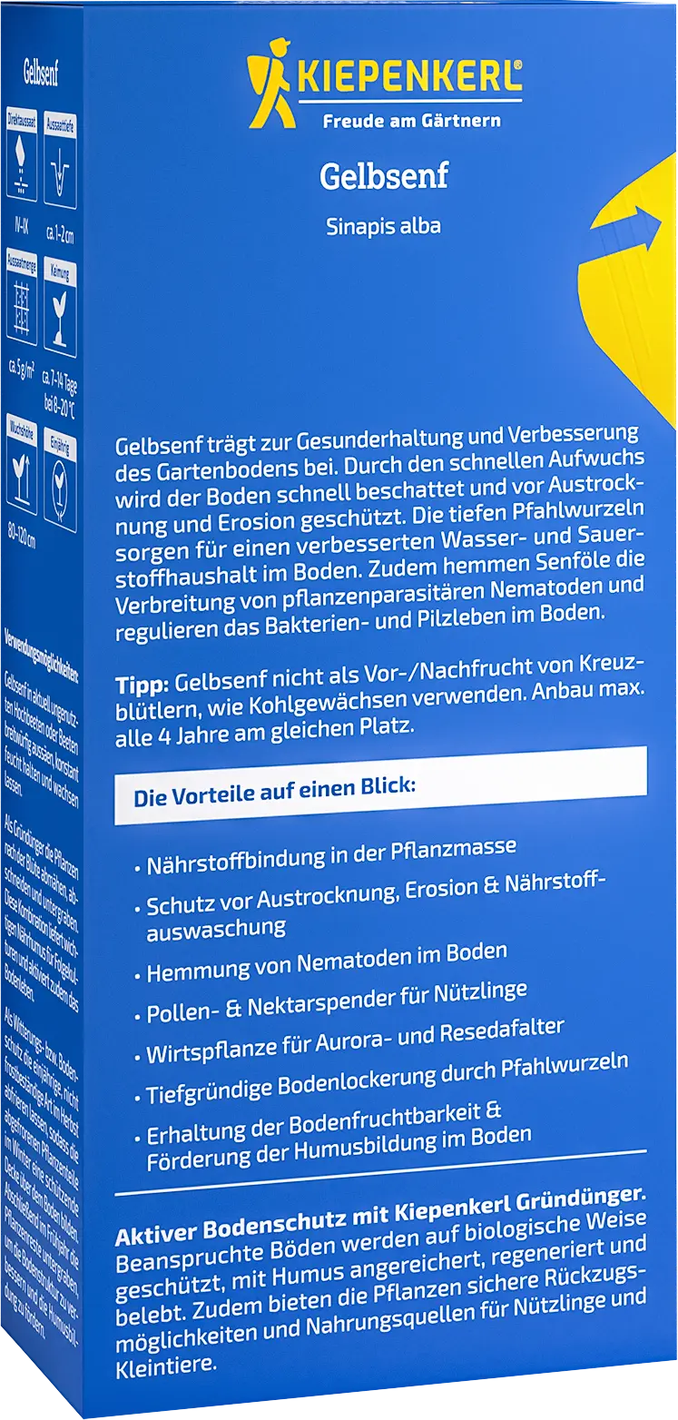 Gelbsenf, 0,25 kg