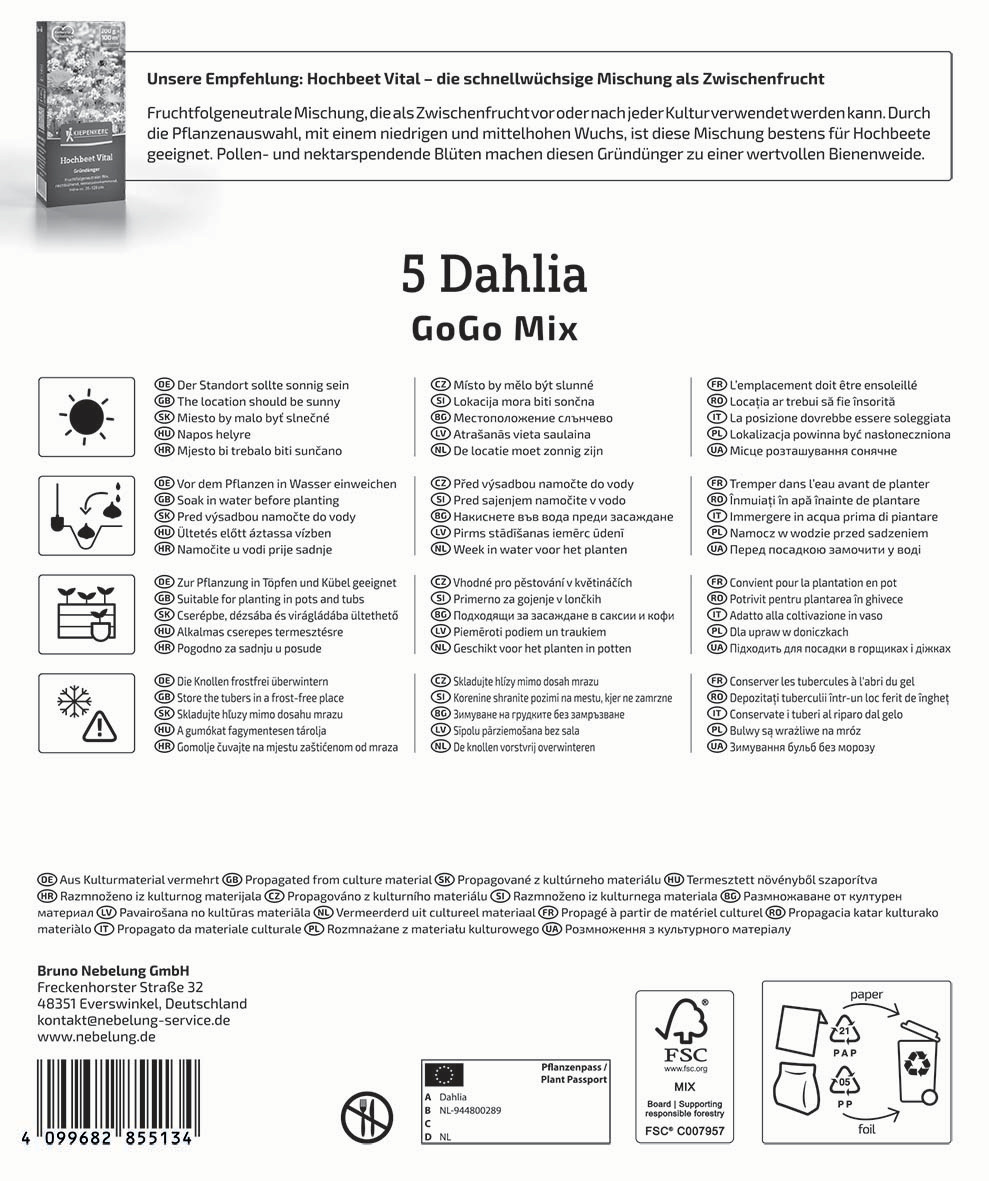 Mega-Pack Dahlien Go Go Mix