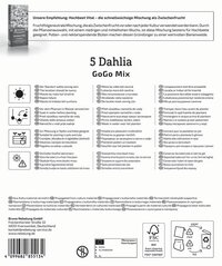 Mega-Pack Dahlien Go Go Mix