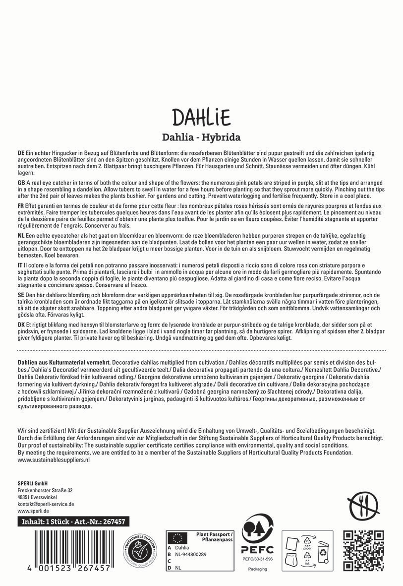Textblock mit Produktbeschreibung und Pflegehinweisen für Dahlia Hybrid.