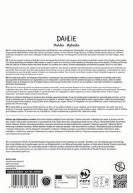 Textblock mit Produktbeschreibung und Pflegehinweisen für Dahlia Hybrid.